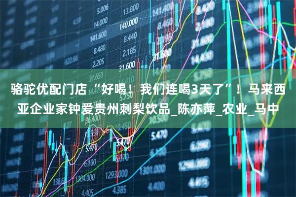 骆驼优配门店 “好喝！我们连喝3天了”！马来西亚企业家钟爱贵州刺梨饮品_陈亦萍_农业_马中