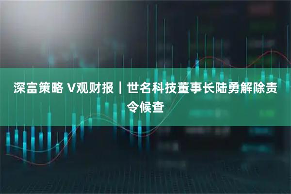 深富策略 V观财报｜世名科技董事长陆勇解除责令候查